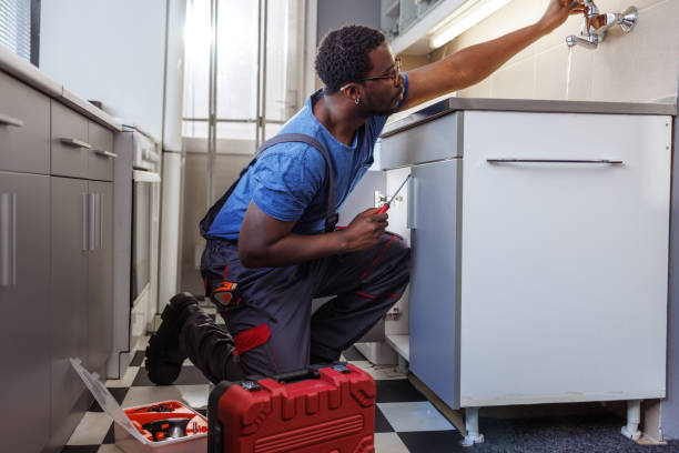 Best Local Plumber Services  in Stony Point, MI
